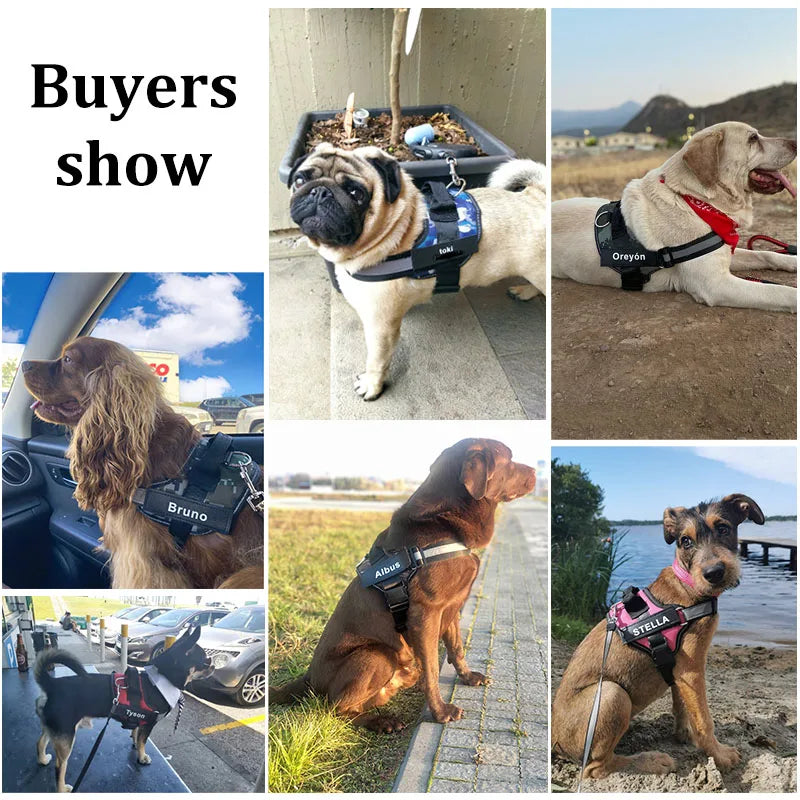 Personalized No-Pull Reflective Dog Harness – Breathable Custom Pet Vest (Small → Large)