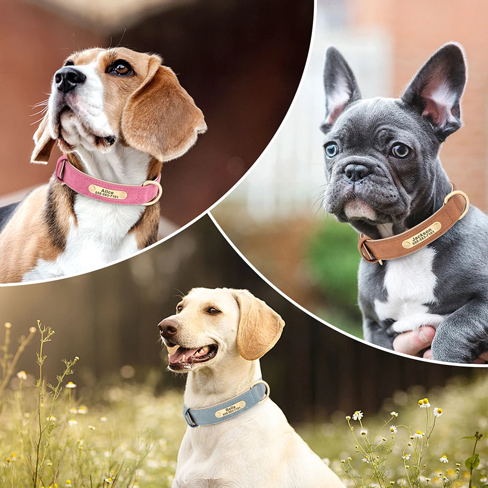 Personalized Dog Collar – Custom Engraved PU Leather Collar